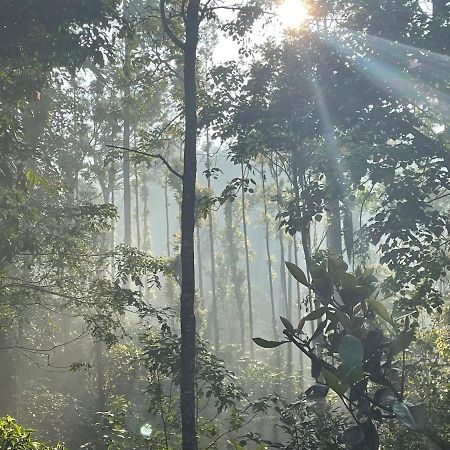 马迪凯里Rai'S Coorg Cave House别墅 外观 照片