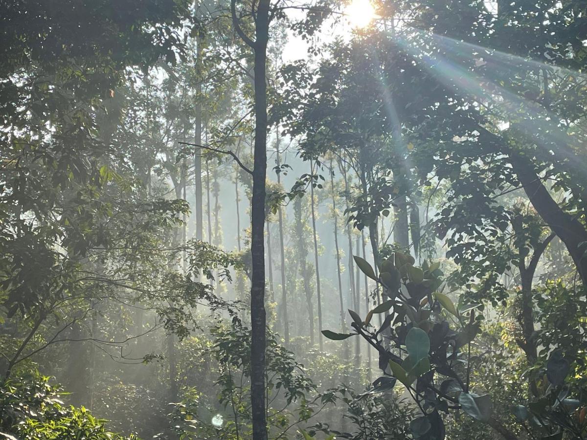 马迪凯里Rai'S Coorg Cave House别墅 外观 照片