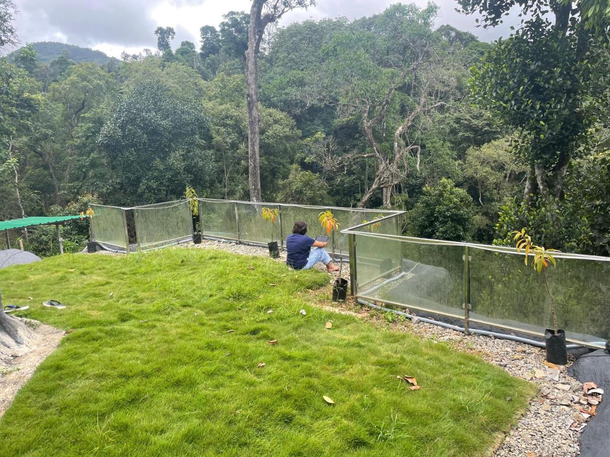 马迪凯里Rai'S Coorg Cave House别墅 外观 照片