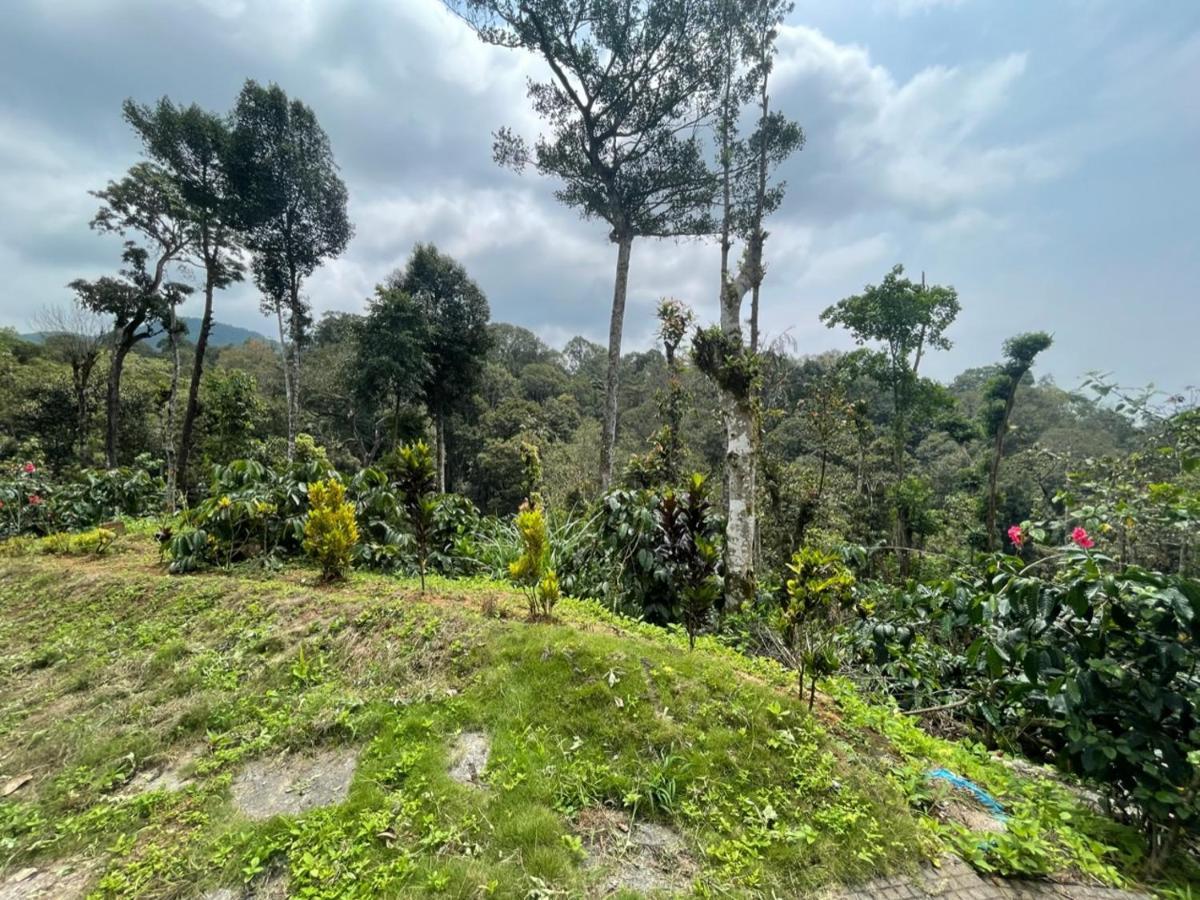 马迪凯里Rai'S Coorg Cave House别墅 外观 照片